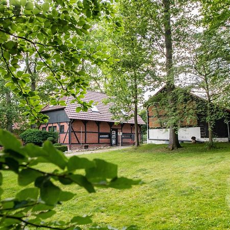 Traumhaftes Anwesen In Der Lueneburger Heide Lägenhet Soltau Exteriör bild