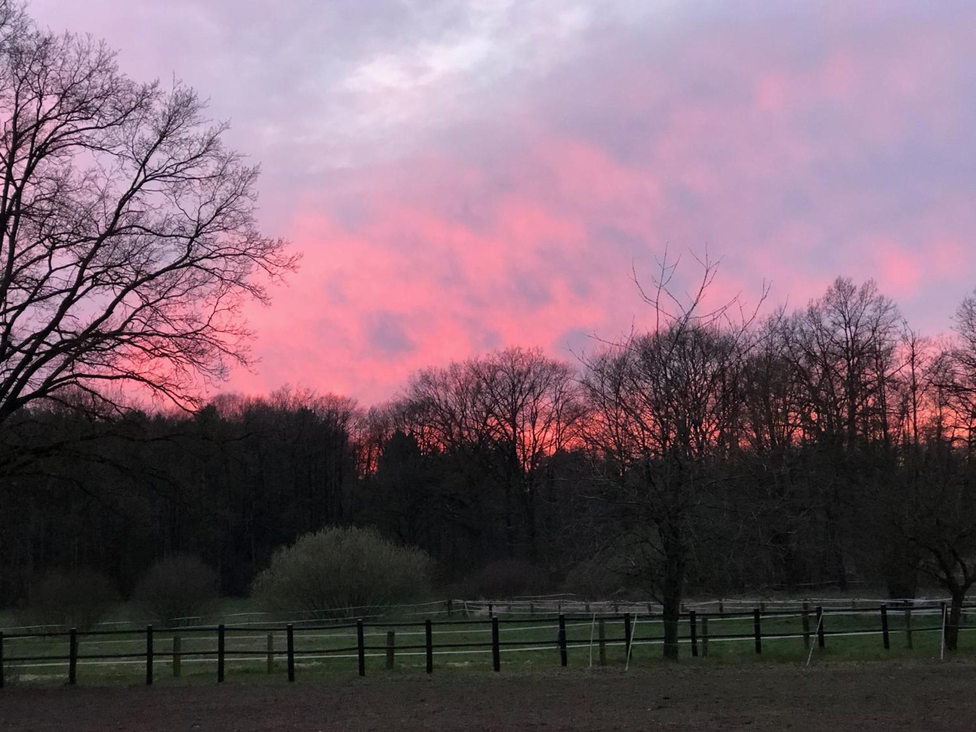 Traumhaftes Anwesen In Der Lueneburger Heide Lägenhet Soltau Exteriör bild